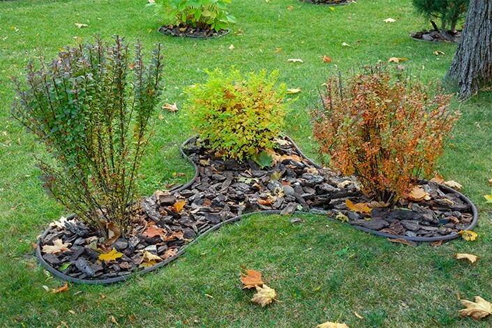 Utilize para ver mais