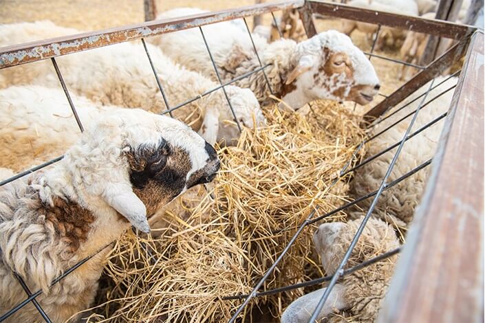 Utilize para ver mais