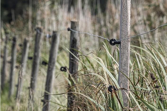 Utilize para ver mais