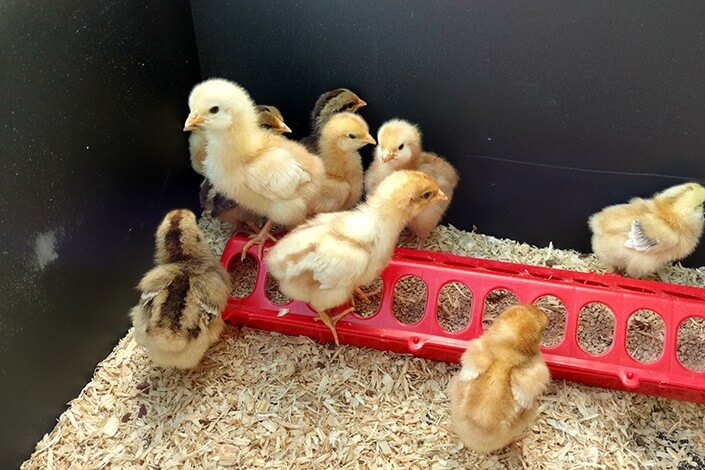 Utilize para ver mais