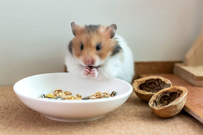 Utilize para ver mais