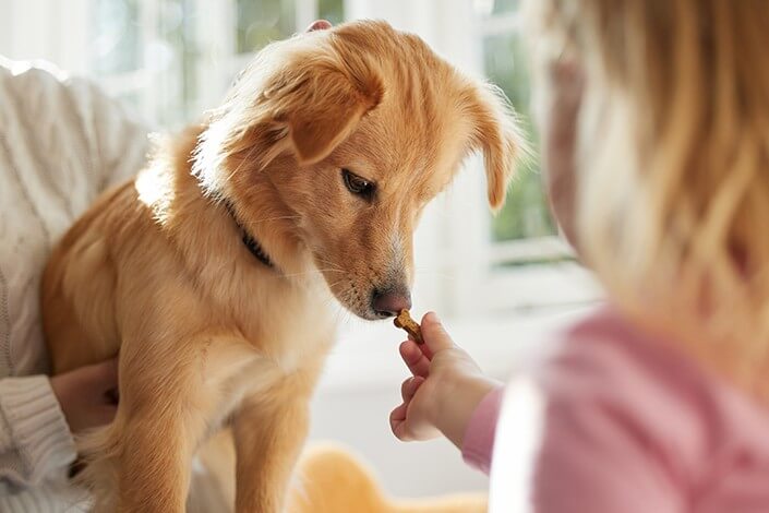 Utilize para ver mais