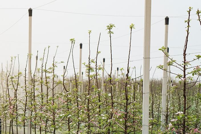 Utilize para ver mais