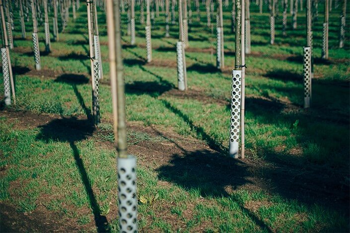 Utilize para ver mais