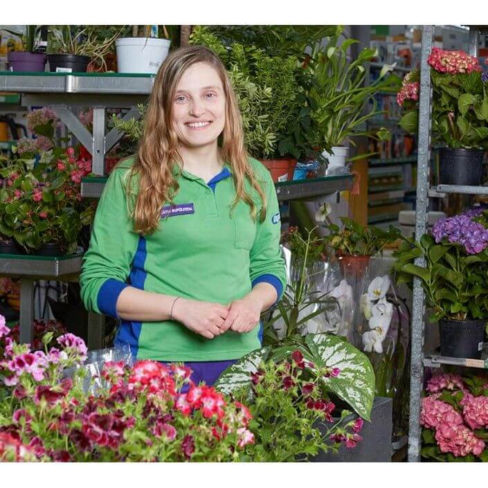 Utilize para ver mais