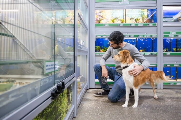 Utilize para ver mais