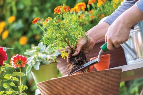 Utilize para  ver mais