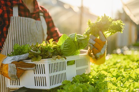 Utilize para ver mais