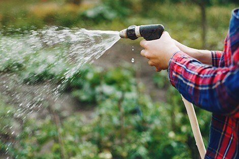 Utilize para ver mais