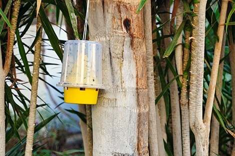 Utilize para ver mais