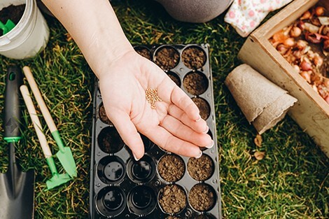 Utilize para ver mais