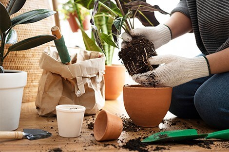 Utilize para ver mais