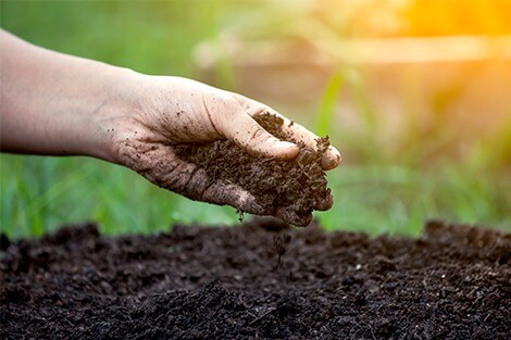 Utilize para ver mais