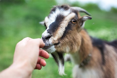 Utilize para ver mais