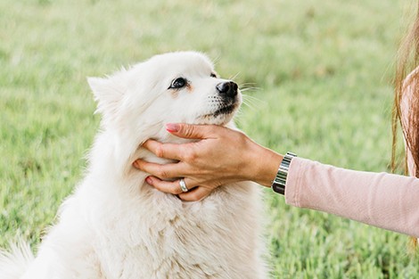 Utilize para ver mais