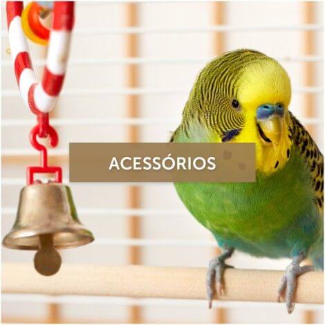 Acessrios Pssaros