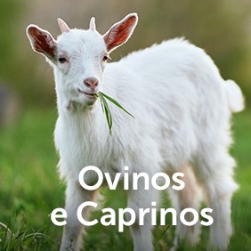 Utilize para  ver mais