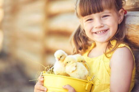 Utilize para  ver mais