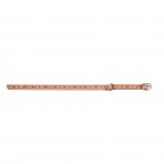 Coleira Para C�o Em Pele 28X1 CM MARPEL