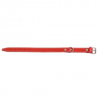 Coleira Para C�o Em Pele Refor�ada 45X2,2 CM MARPEL