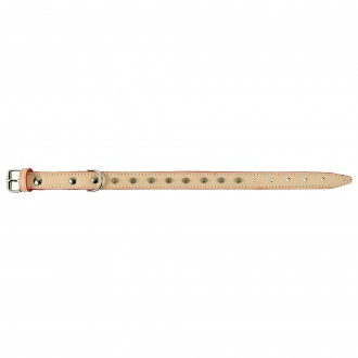 Coleira Para C�o Em Pele Com Aplica��es 45X2,2 CM MARPEL