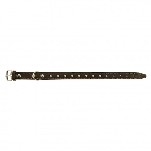 Coleira Para C�o Em Pele Com Aplica��es 45X2,2 CM MARPEL