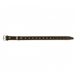 Coleira Para C�o Em Pele Com Aplica��es 45X2,2 CM MARPEL