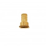 Canh�o de Lat�o F�mea 2 FUND. NACIONAL