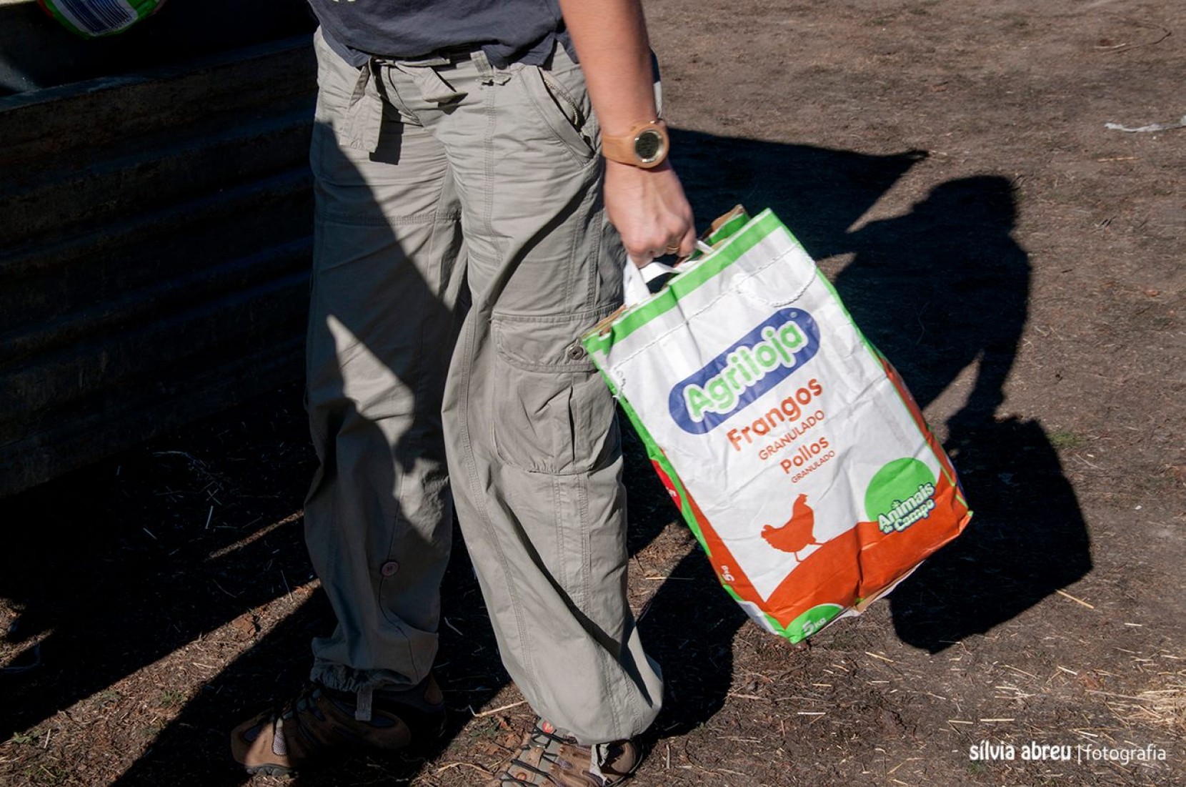 Misso Beira - Ajudar a Renascer