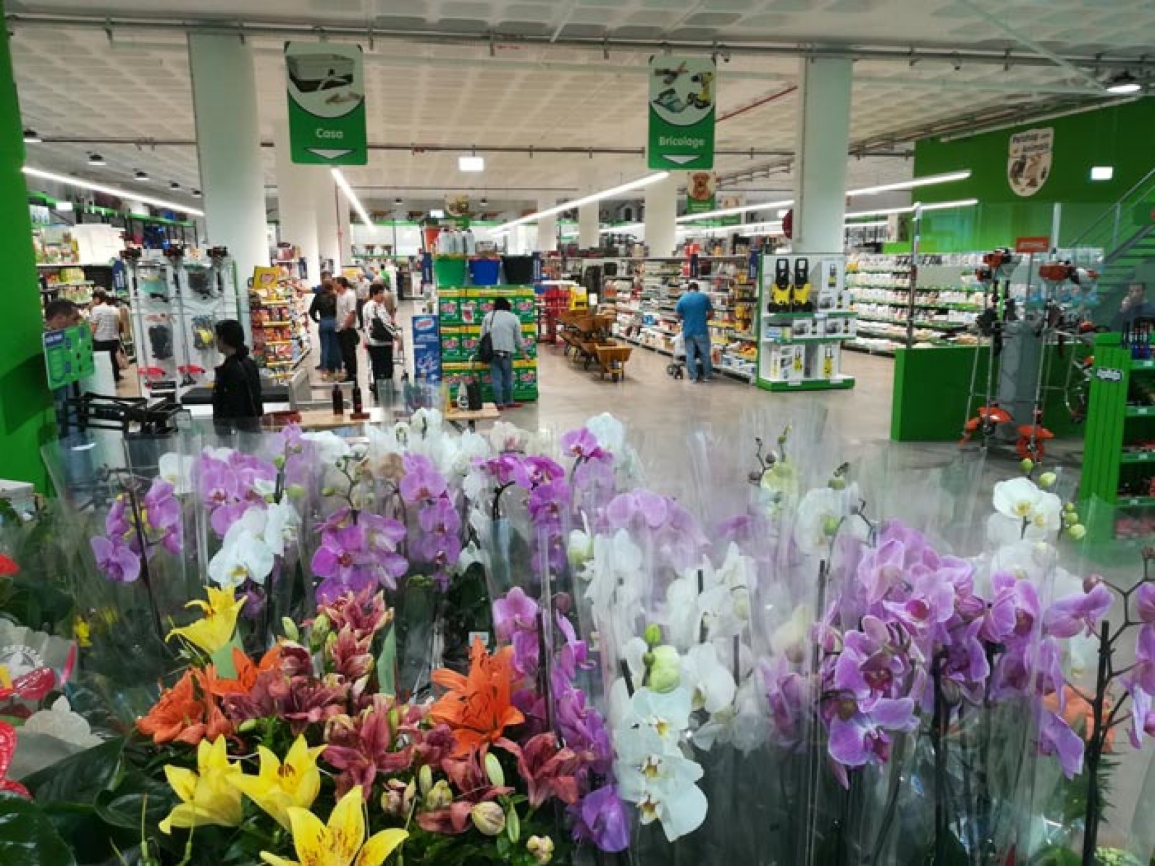 Abertura da nova Agriloja na Madeira