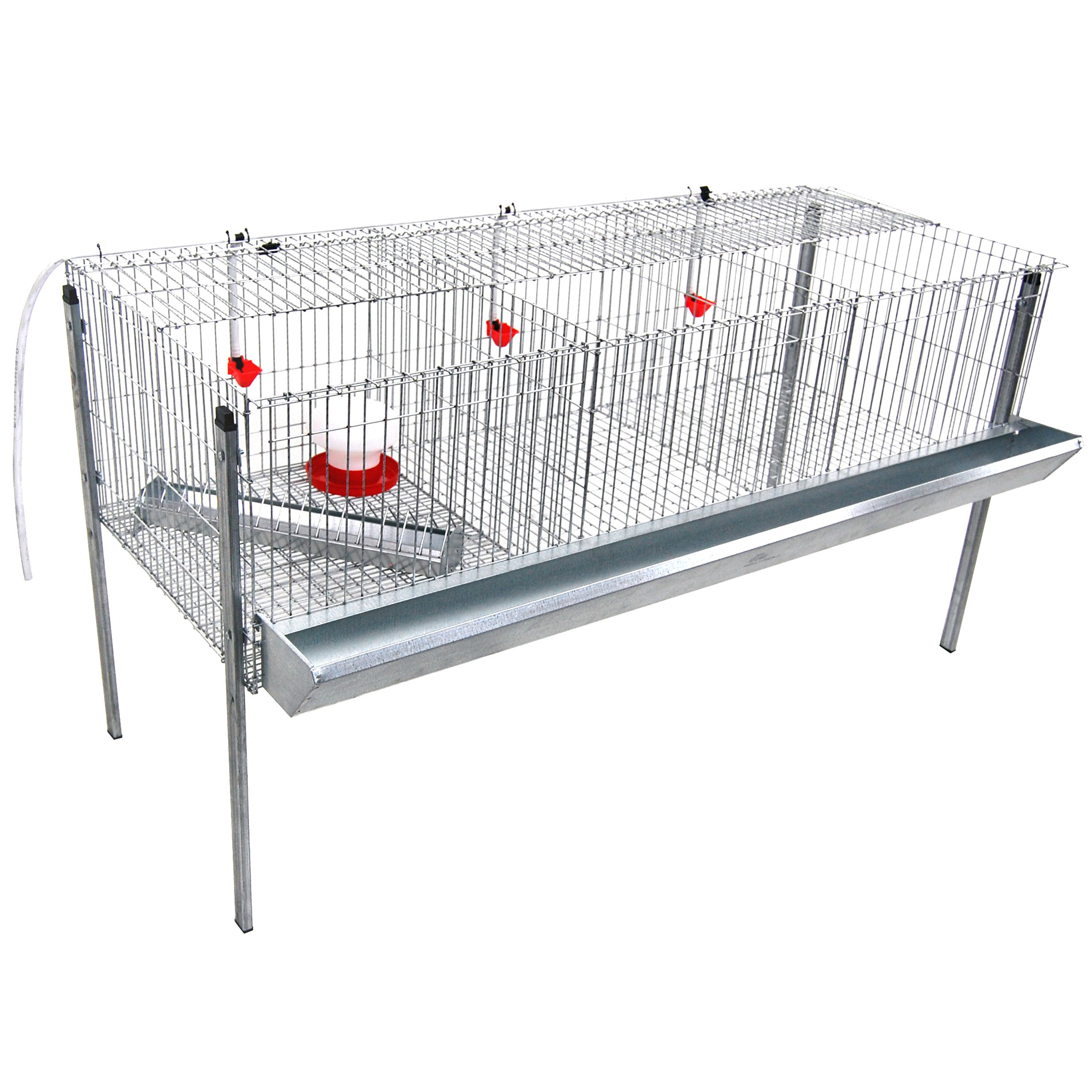 Jaula para Frangos 3 Divisórias Mista GOMEZ Y CRES