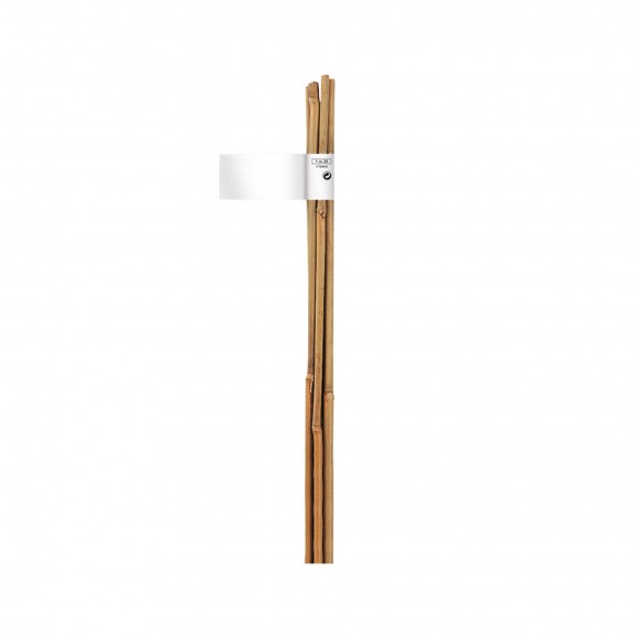 Tutor Bambu Natural 12-14 MM 180 CM NORTENE