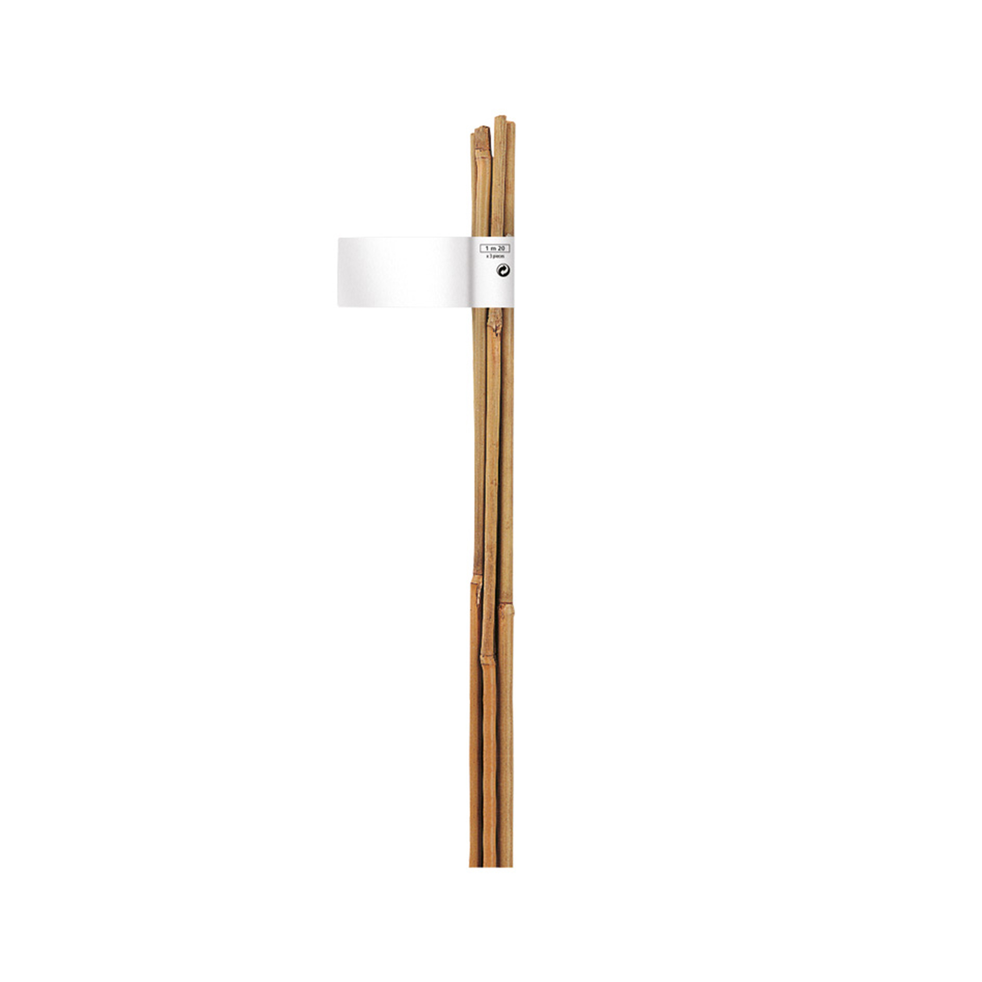 Tutor Bambu Natural 12-14 MM 180 CM NORTENE