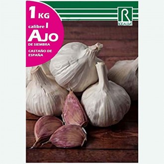 Alho Sementeira 1 KG ROCALBA
