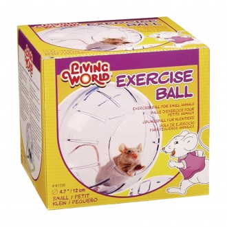 Bola Exerc�cio Duporte Pequeno LIVING WORLD