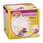 Bola Exerc�cio Duporte Pequeno LIVING WORLD