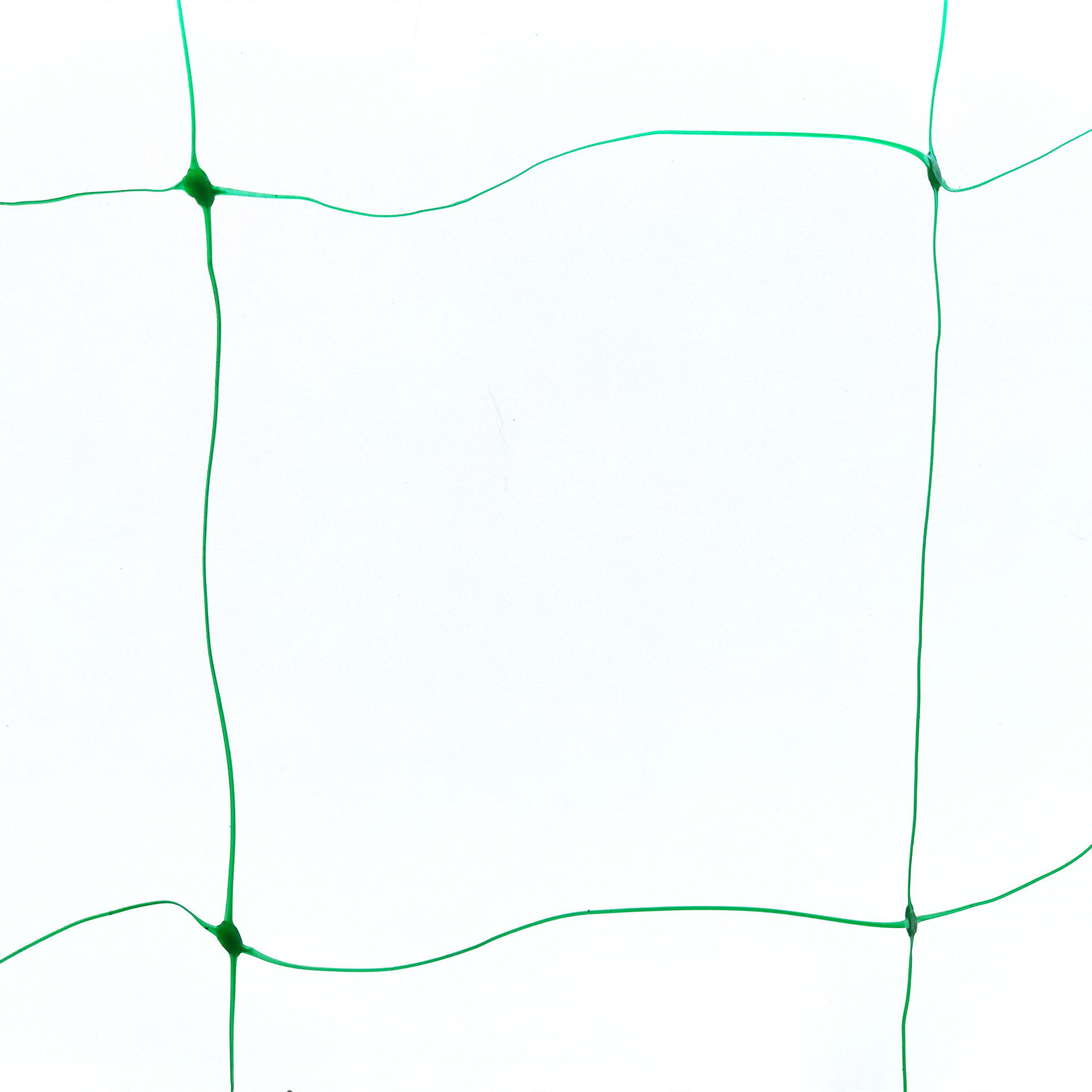 Rede Tutoragem 2X5 M