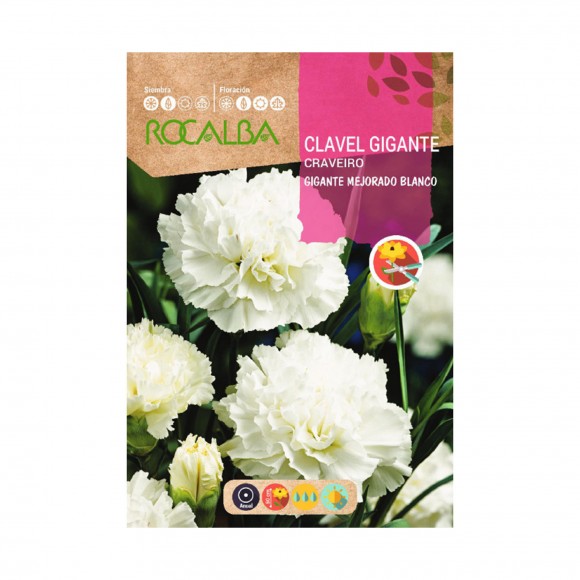 Cravo Gigante Branco 1 G ROCALBA