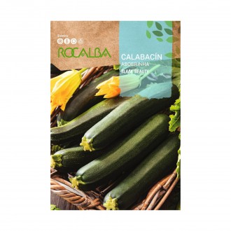 Courgette Beauty  8 G ROCALBA