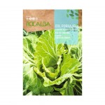 Couve Penca De Chaves 10 G ROCALBA