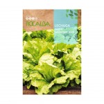 Alface Batavia Pierre 6 G ROCALBA