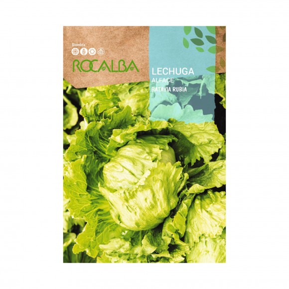 Alface Batavia Rubia 6 G ROCALBA