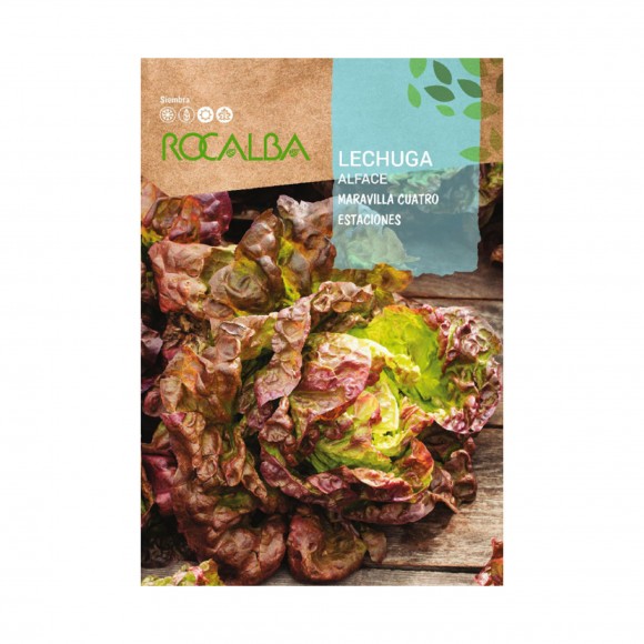 Alface Maravilha 4 Esta��es 6 G ROCALBA
