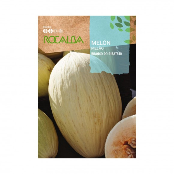 Melão Branco Do Ribatejo 10 G ROCALBA Melão Branco Do Ribatejo 10 G ROCALBA