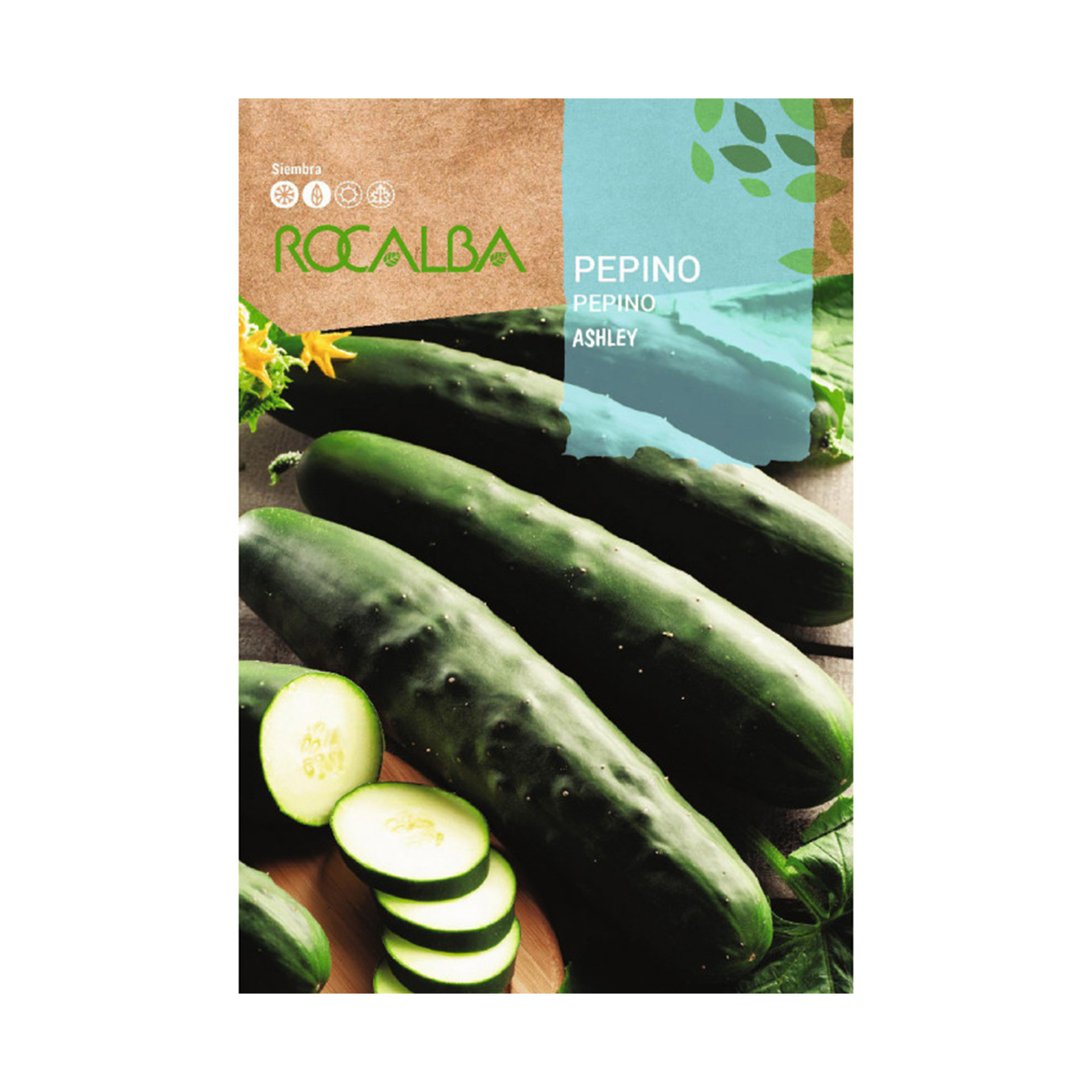 Pepino Ashley 6 G ROCALBA