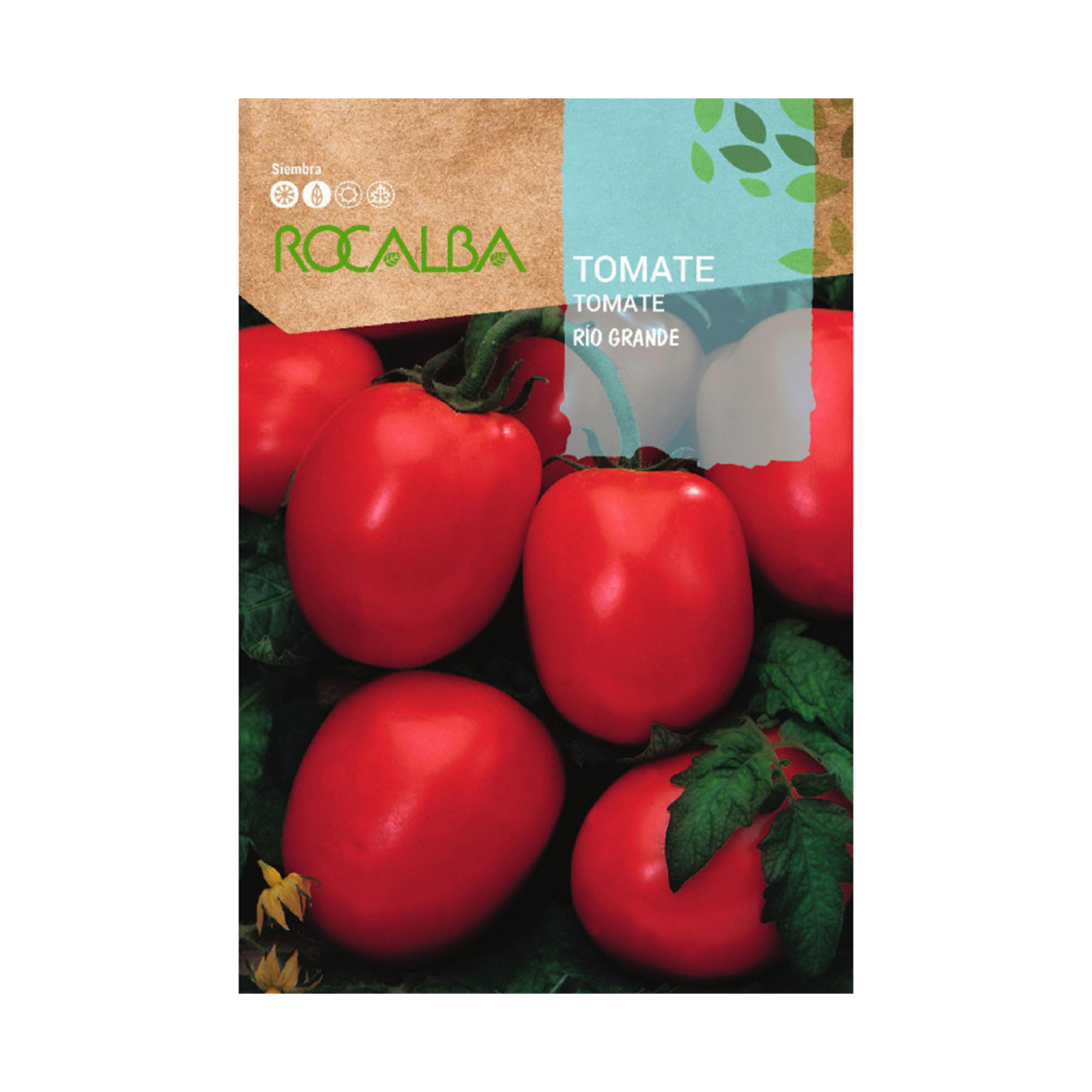Tomate Rio Grande 1 G ROCALBA