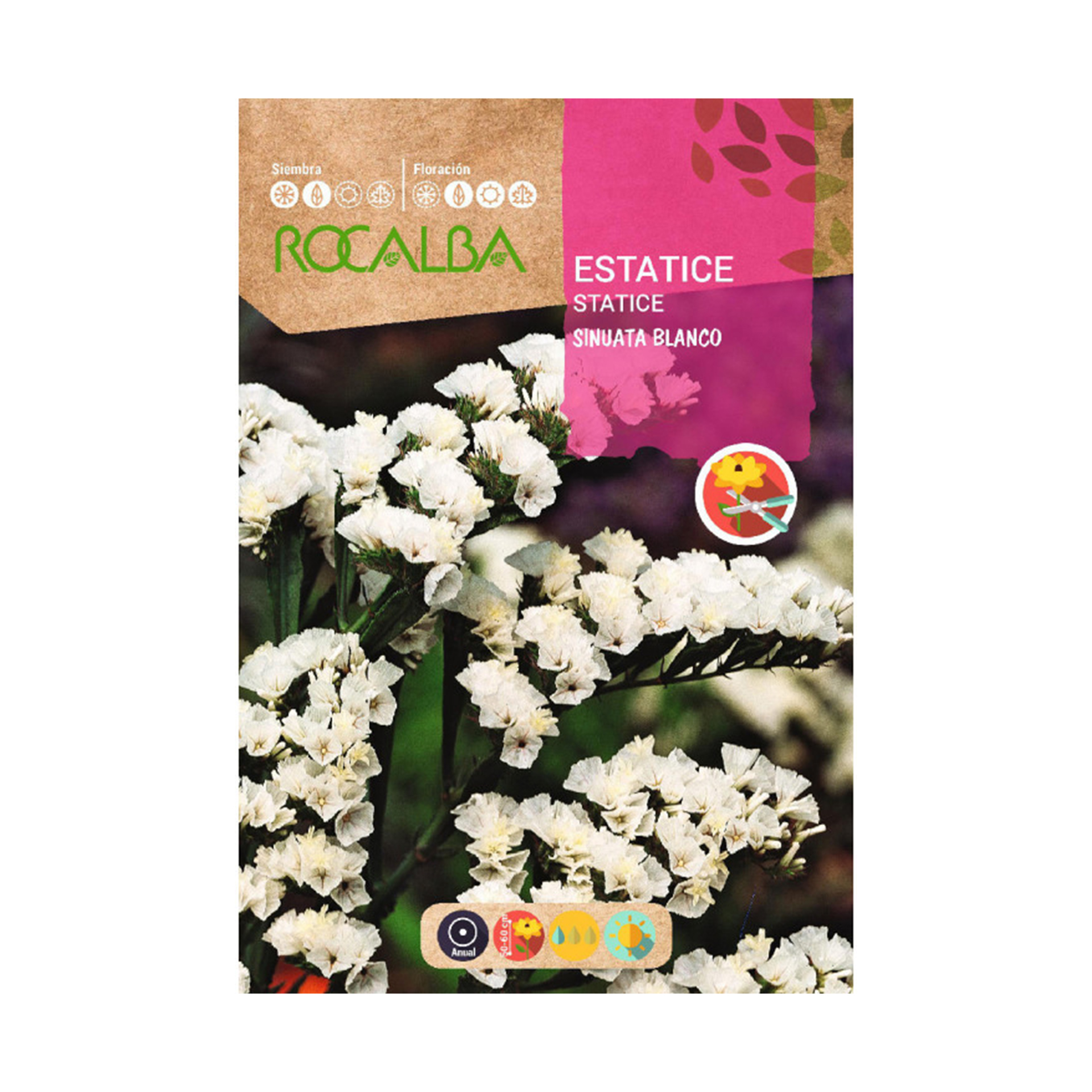 Estatice Sinuata Branco 0,5 G ROCALBA