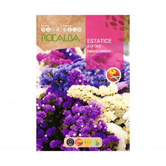 Estatice Sinuata Variado 1 G ROCALBA