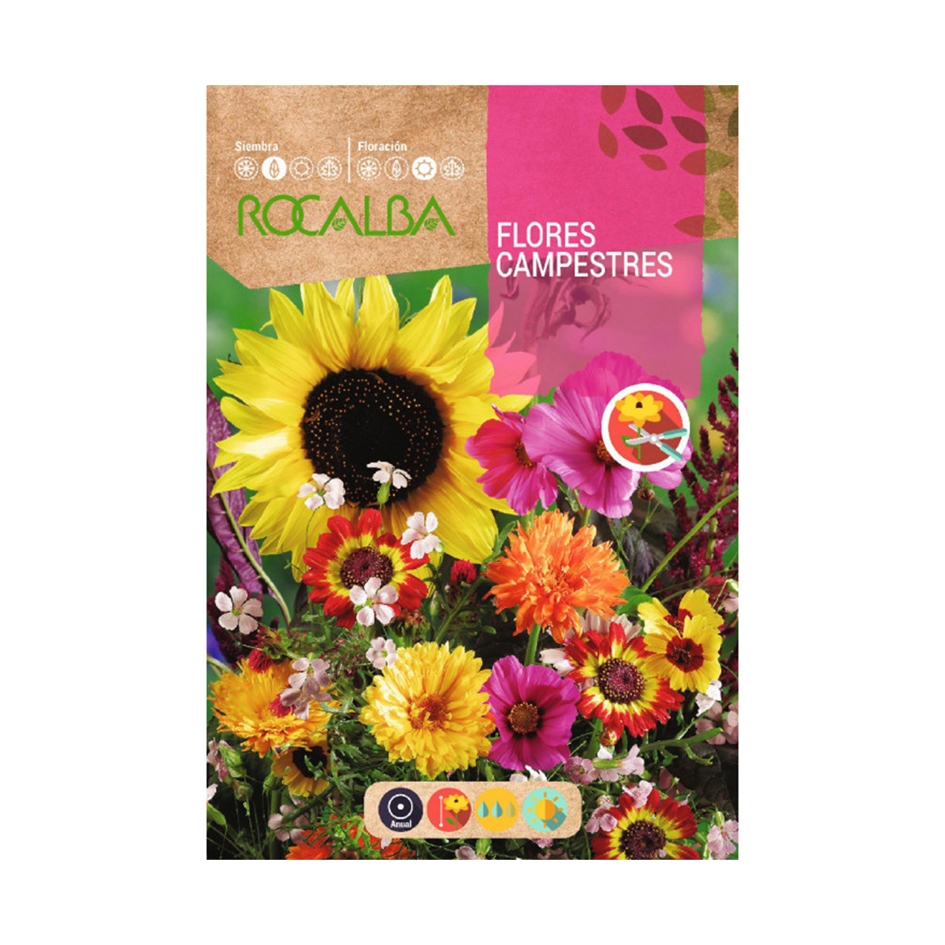 Flor Campestre 2 G ROCALBA