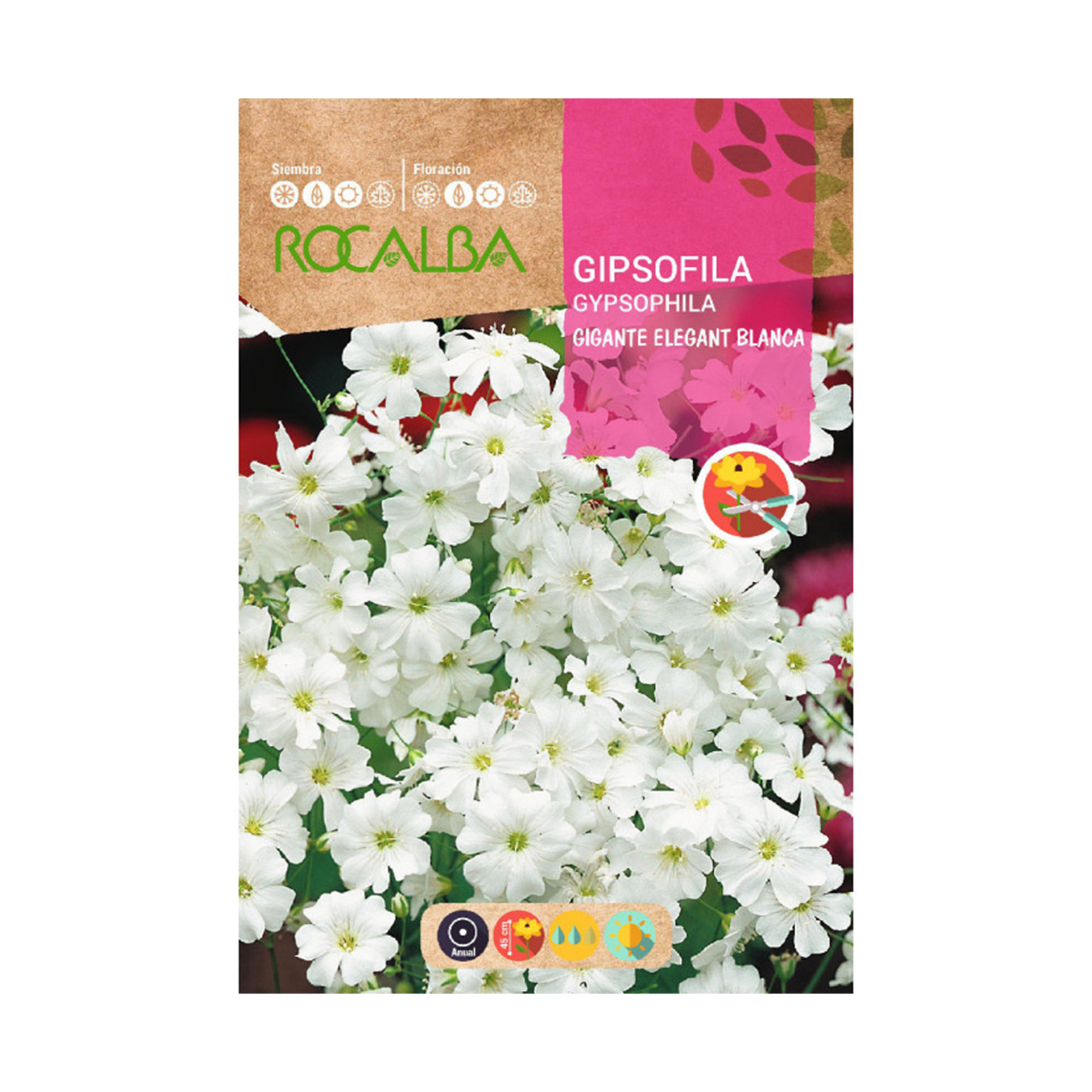 Gipsofila Gigante Elegante Branca 10 G ROCALBA